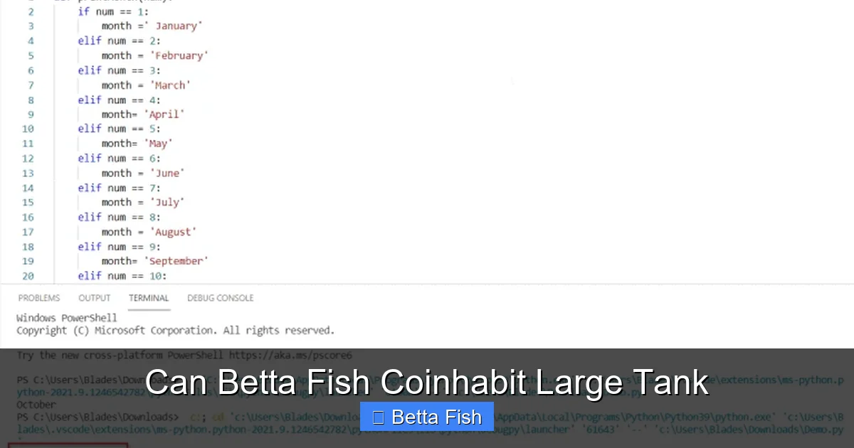 Can Betta Fish Coinhabit Large Tank