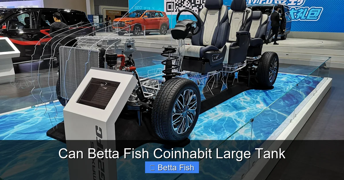 Can Betta Fish Coinhabit Large Tank