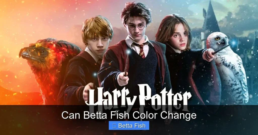Can Betta Fish Color Change