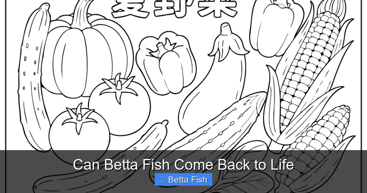 Can Betta Fish Come Back to Life