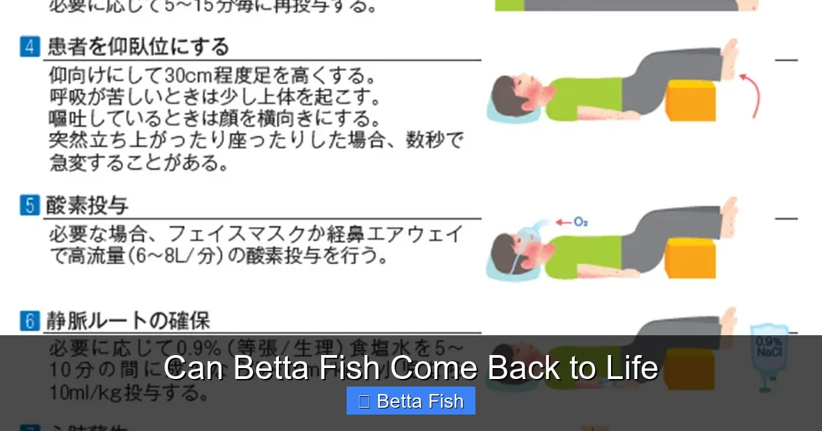 Can Betta Fish Come Back to Life