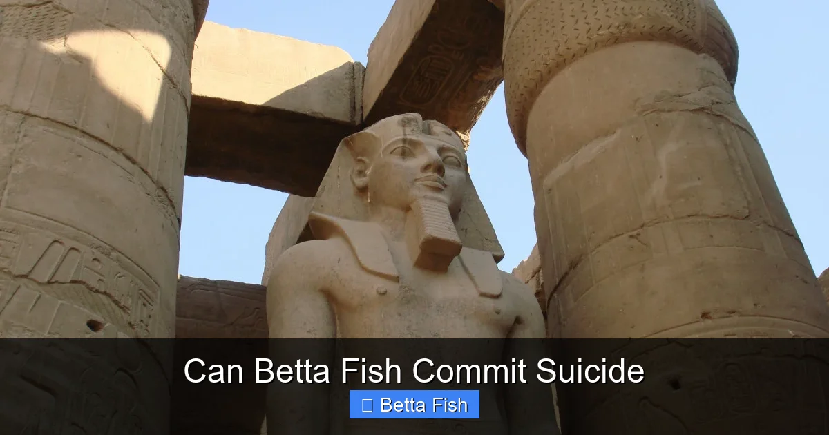 Can Betta Fish Commit Suicide