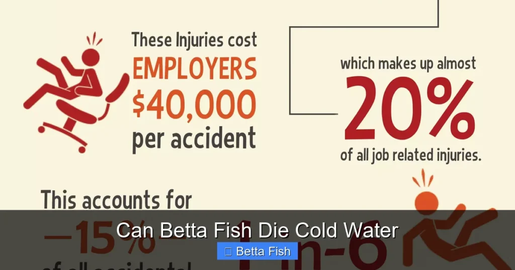 Can Betta Fish Die Cold Water