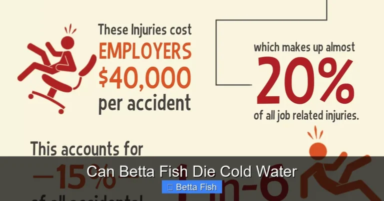 Can Betta Fish Die Cold Water