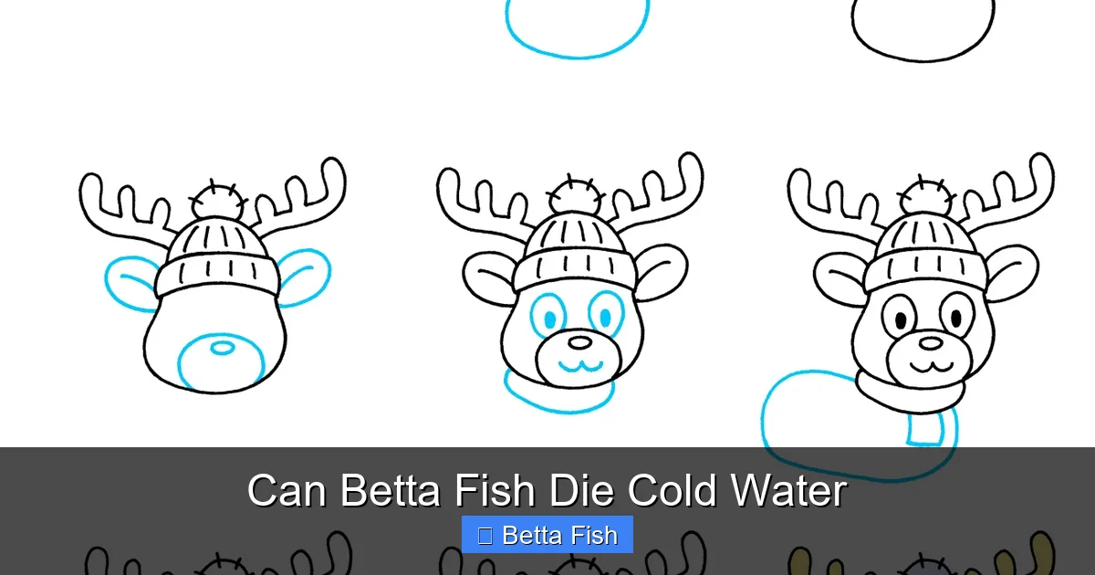 Can Betta Fish Die Cold Water