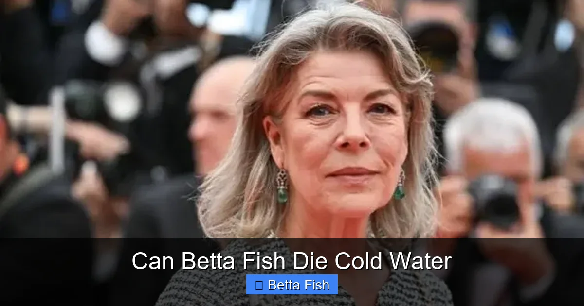 Can Betta Fish Die Cold Water