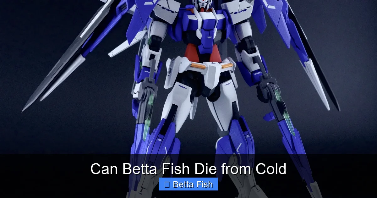 Can Betta Fish Die from Cold