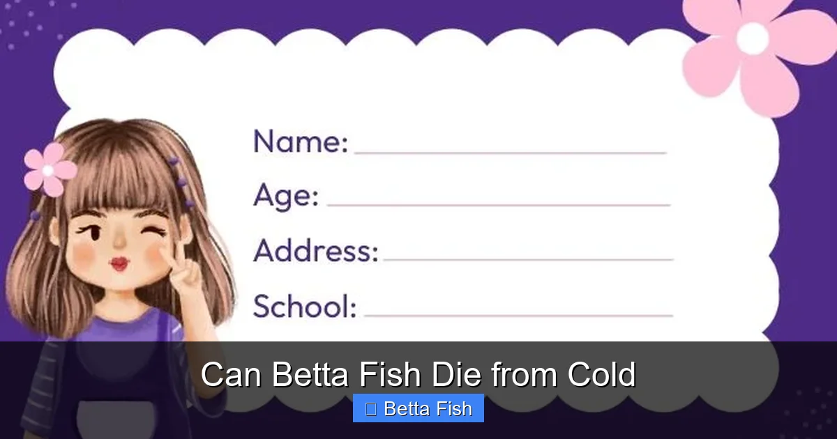 Can Betta Fish Die from Cold