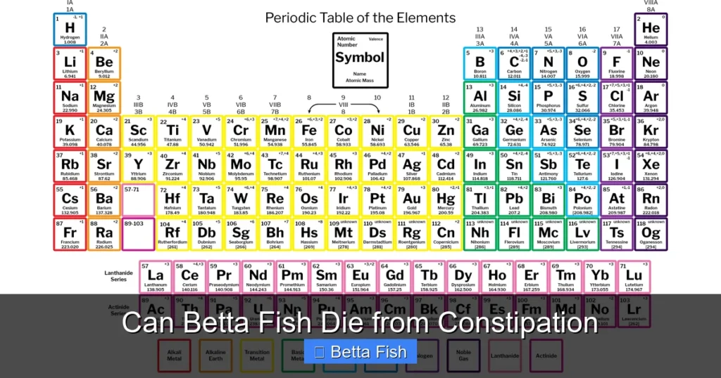 Can Betta Fish Die from Constipation