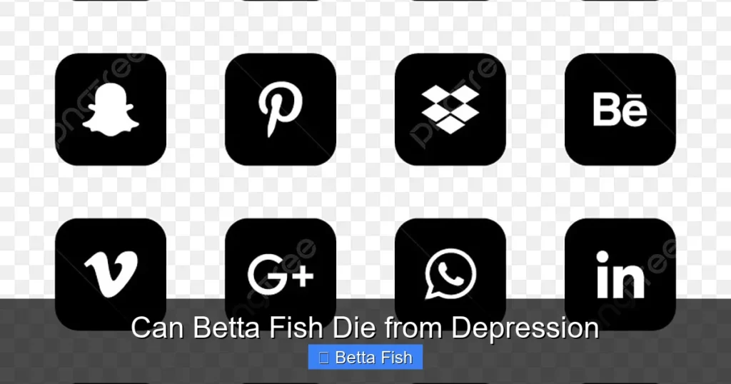 Can Betta Fish Die from Depression