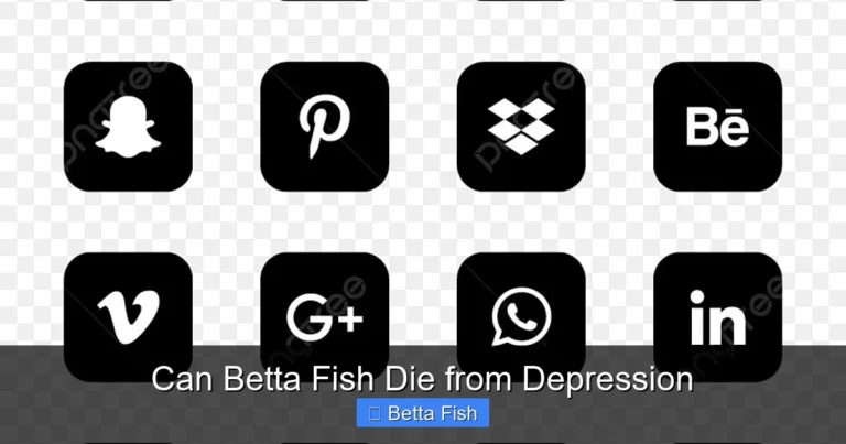 Can Betta Fish Die from Depression