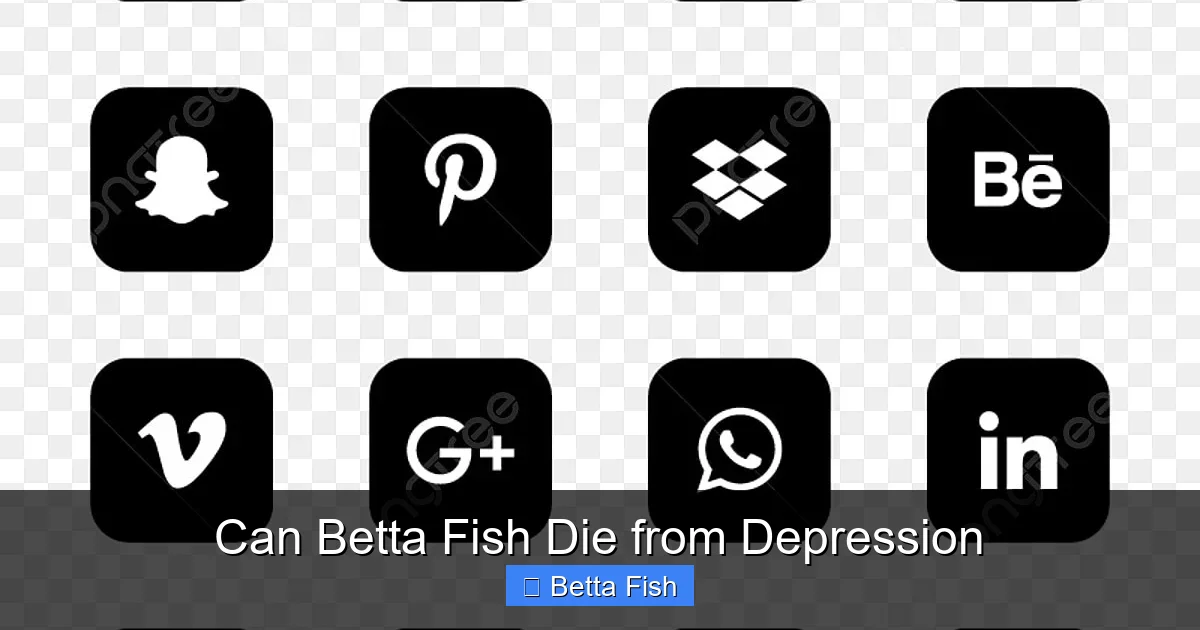 Can Betta Fish Die from Depression