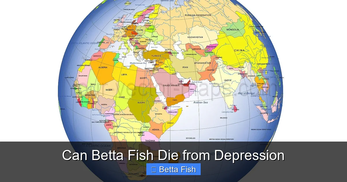 Can Betta Fish Die from Depression