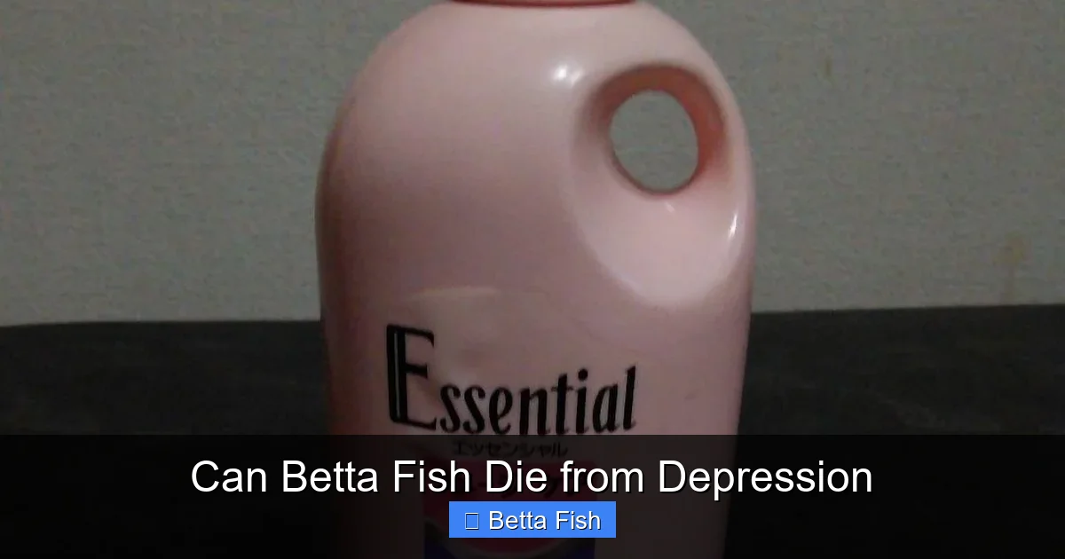 Can Betta Fish Die from Depression