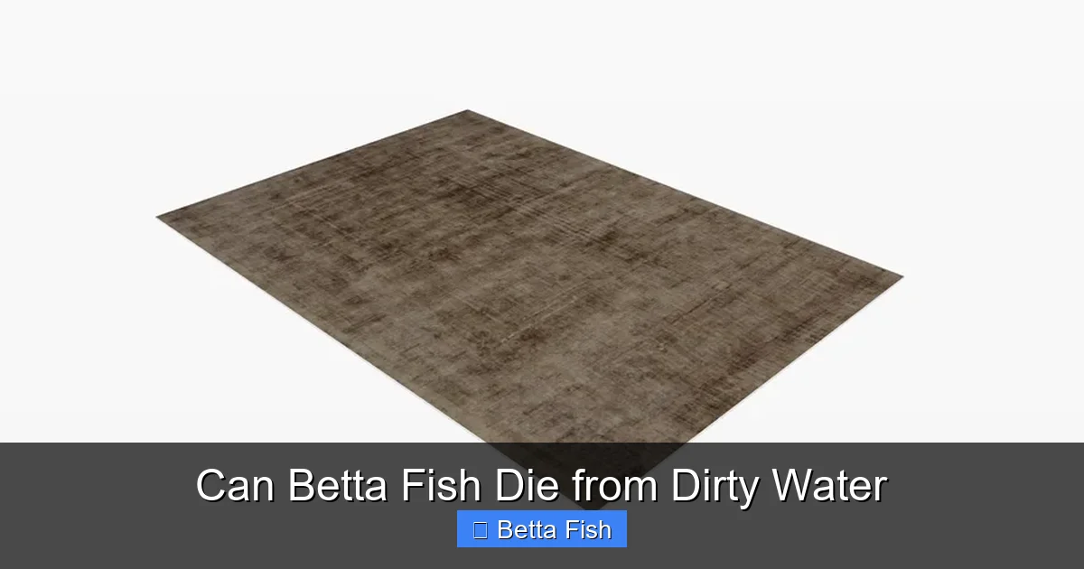Can Betta Fish Die from Dirty Water