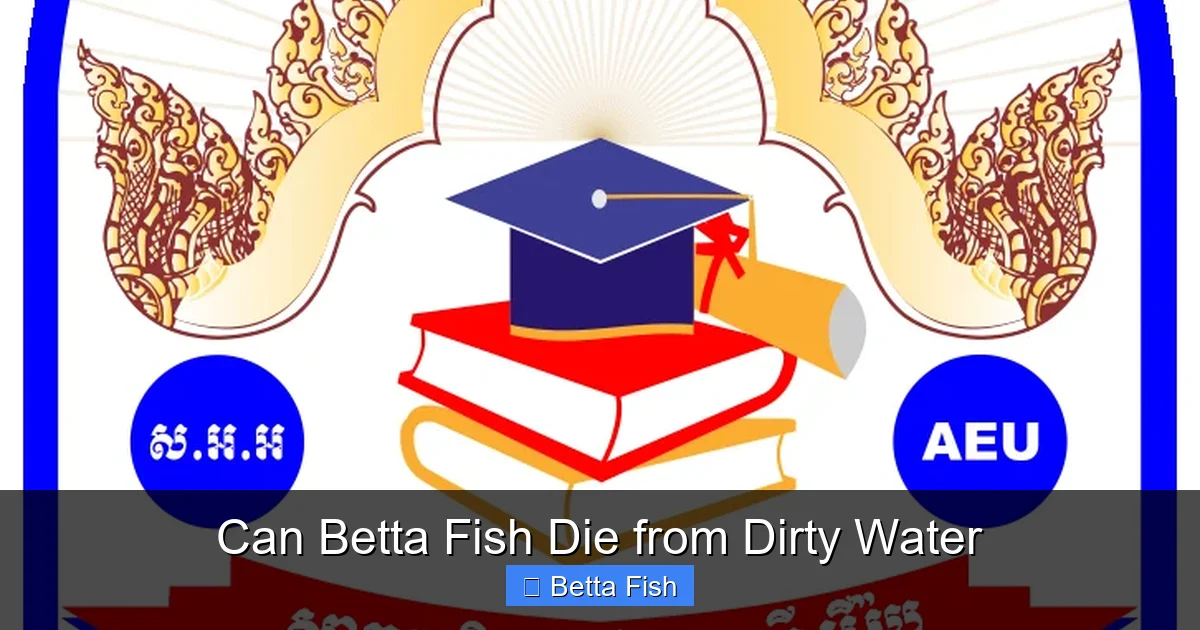 Can Betta Fish Die from Dirty Water