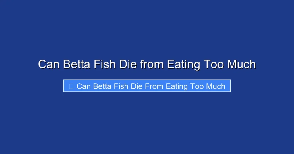 Can Betta Fish Die from Eating Too Much