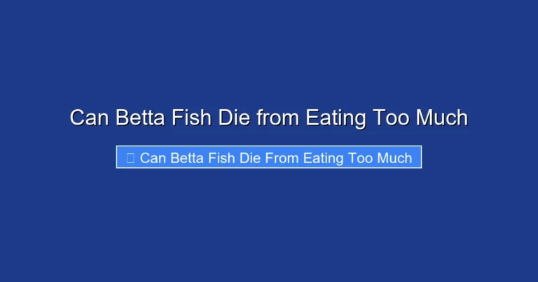Can Betta Fish Die from Eating Too Much