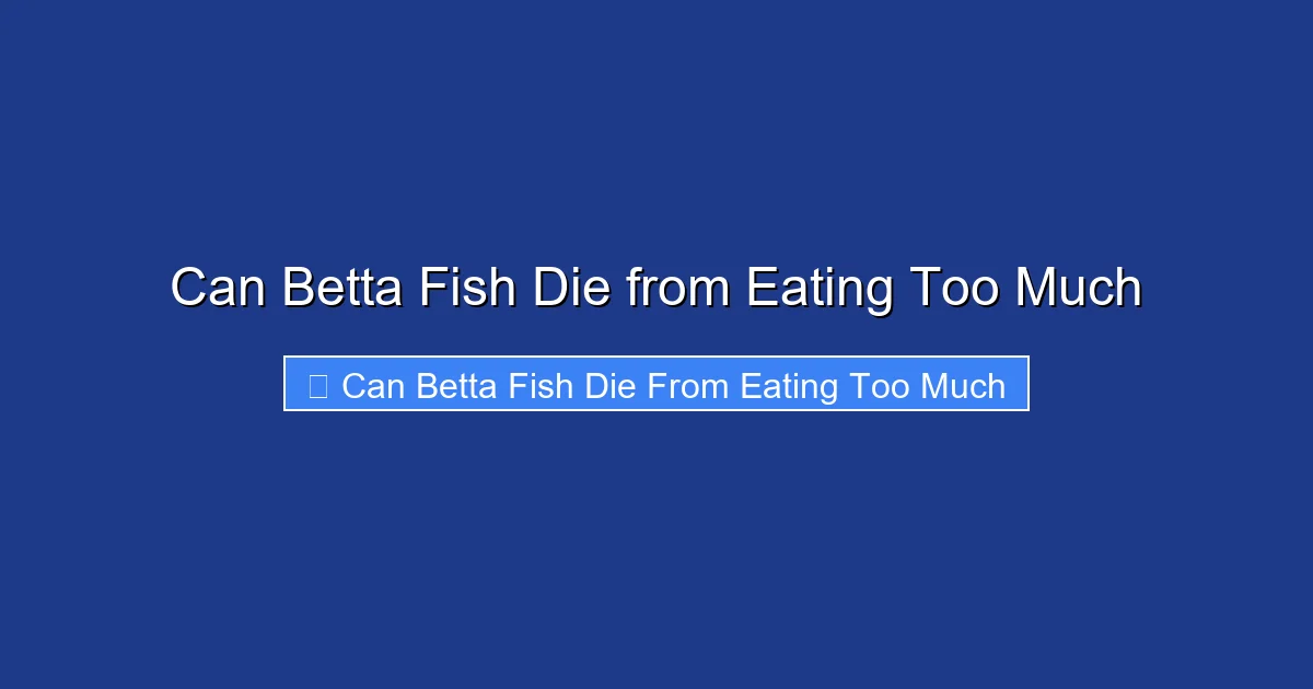 Can Betta Fish Die from Eating Too Much