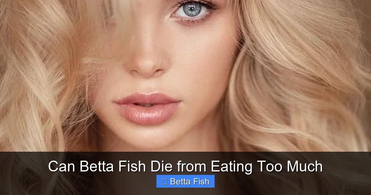 Can Betta Fish Die from Eating Too Much