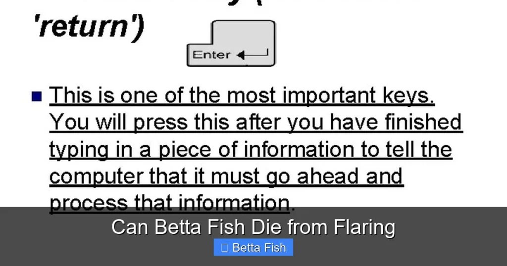 Can Betta Fish Die from Flaring