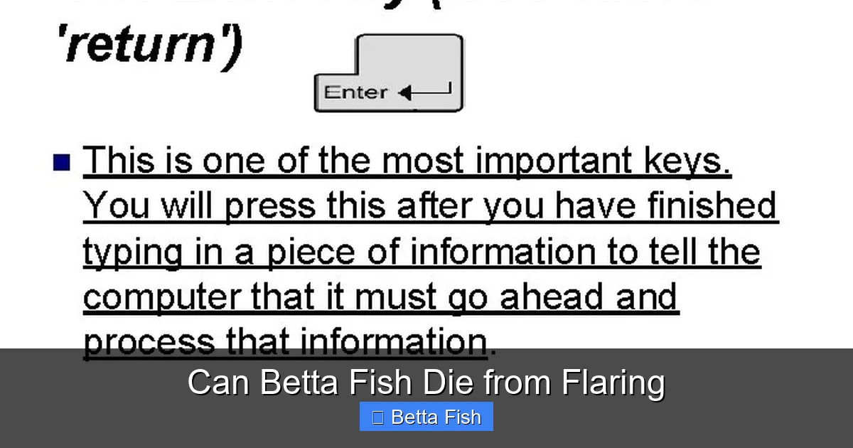 Can Betta Fish Die from Flaring