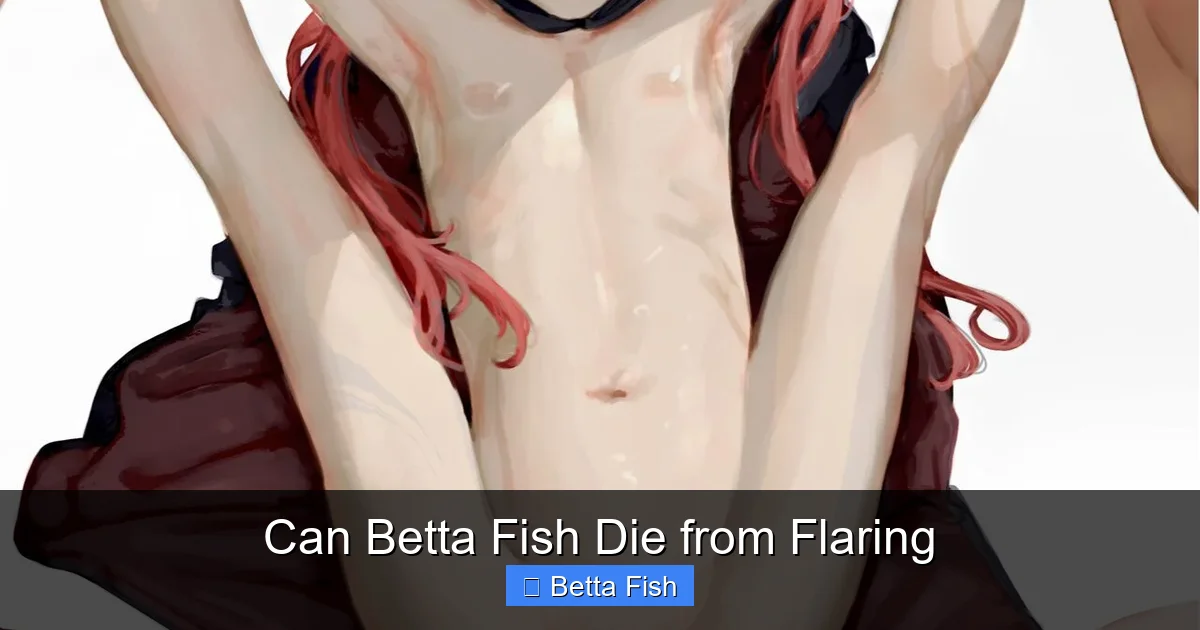 Can Betta Fish Die from Flaring