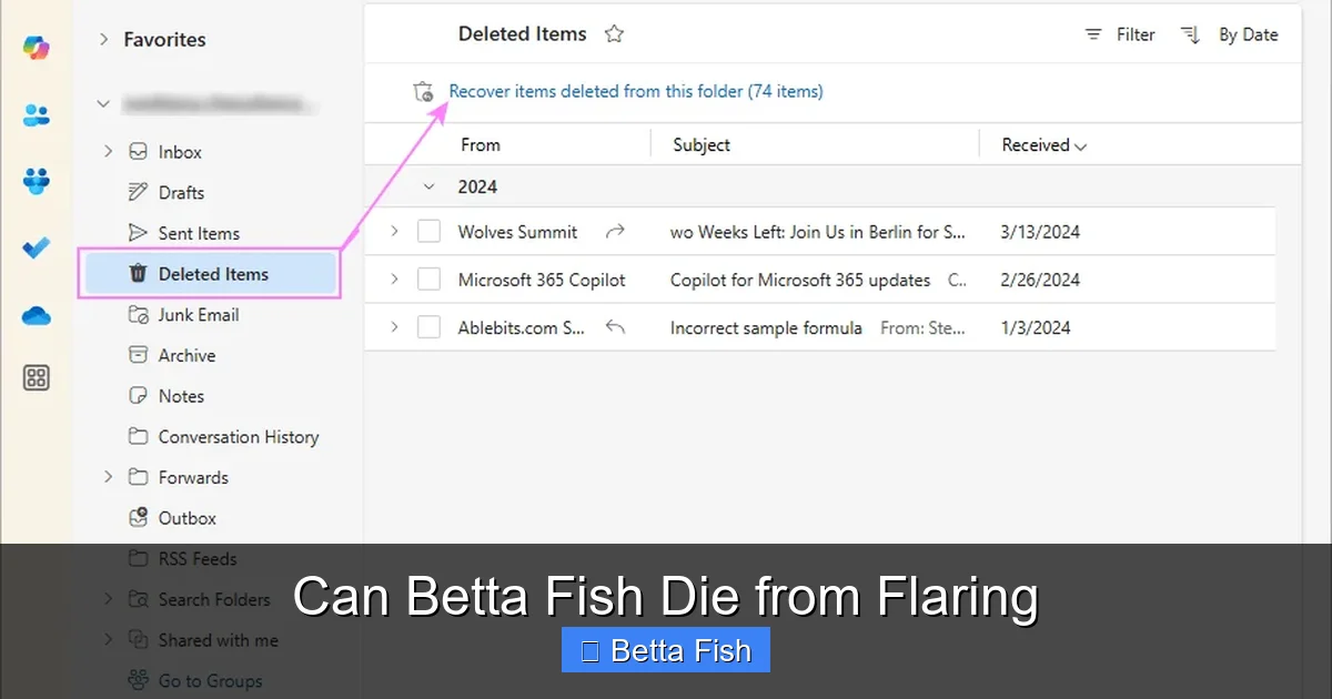 Can Betta Fish Die from Flaring