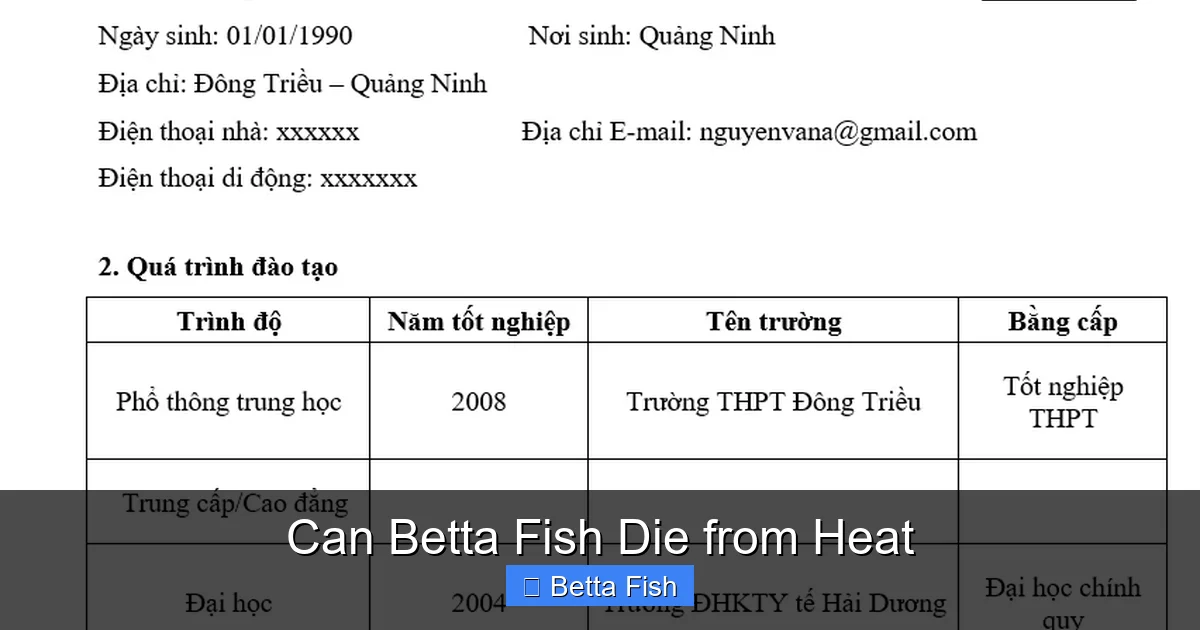 Can Betta Fish Die from Heat