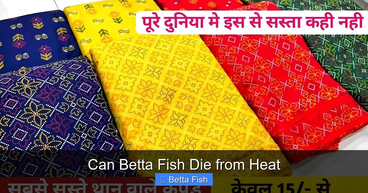 Can Betta Fish Die from Heat