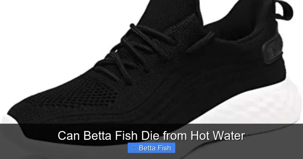 Can Betta Fish Die from Hot Water