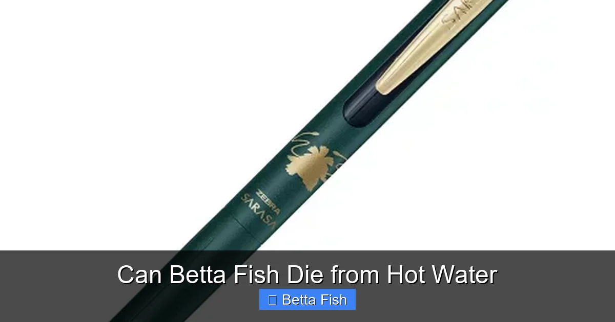Can Betta Fish Die from Hot Water