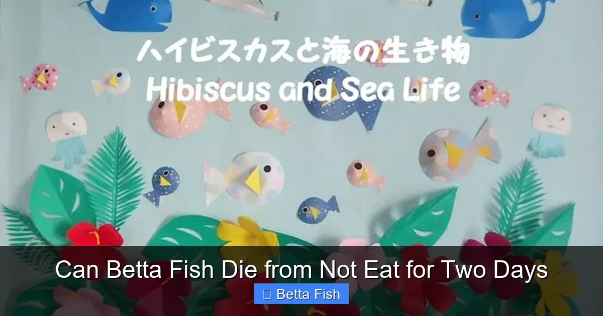 Can Betta Fish Die from Not Eat for Two Days