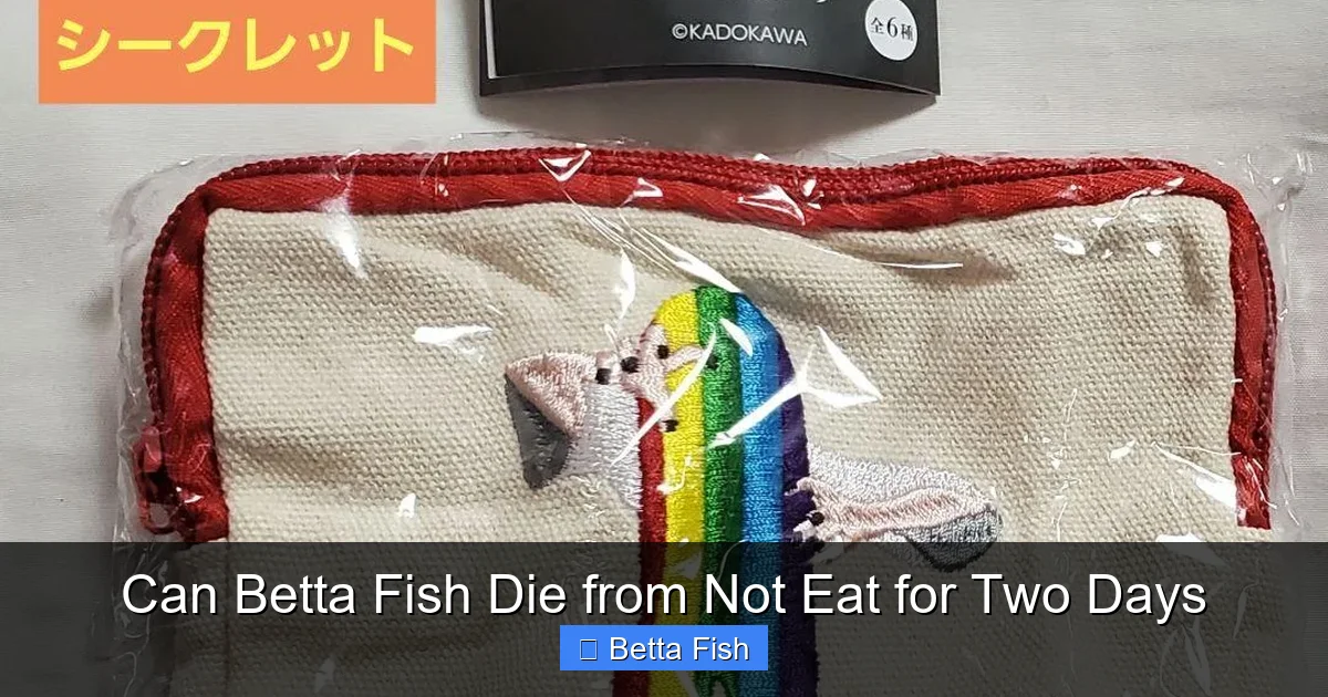 Can Betta Fish Die from Not Eat for Two Days