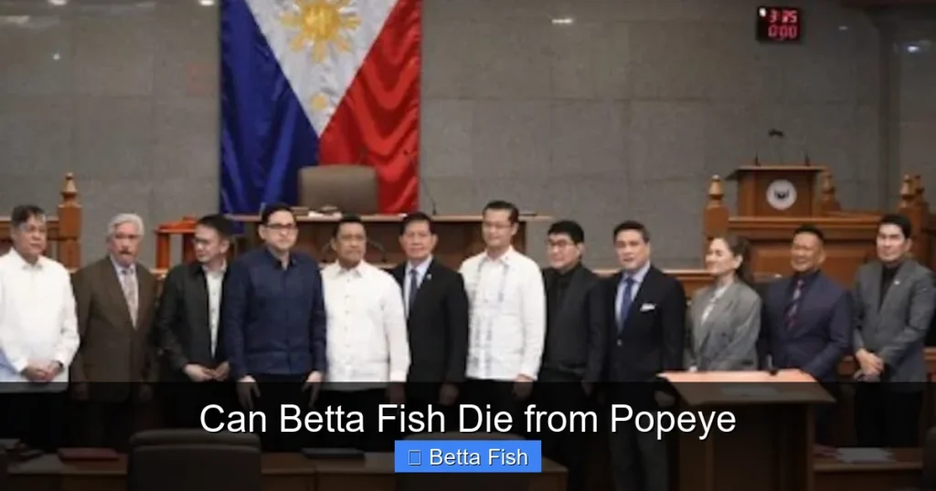 Can Betta Fish Die from Popeye