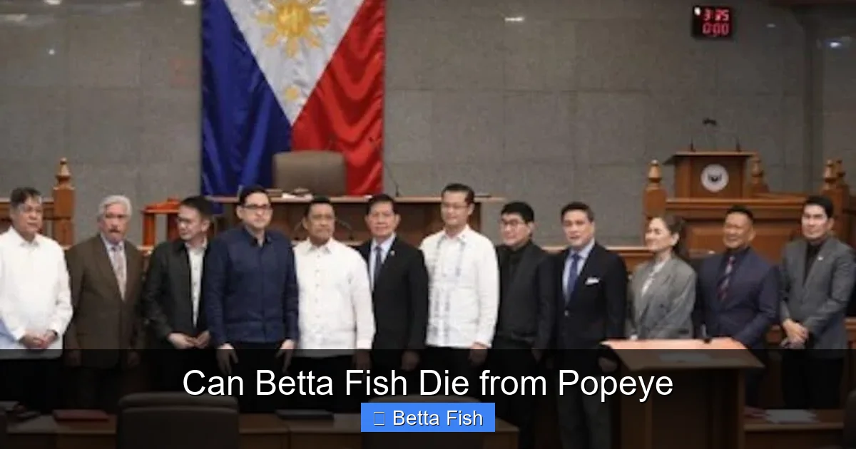 Can Betta Fish Die from Popeye