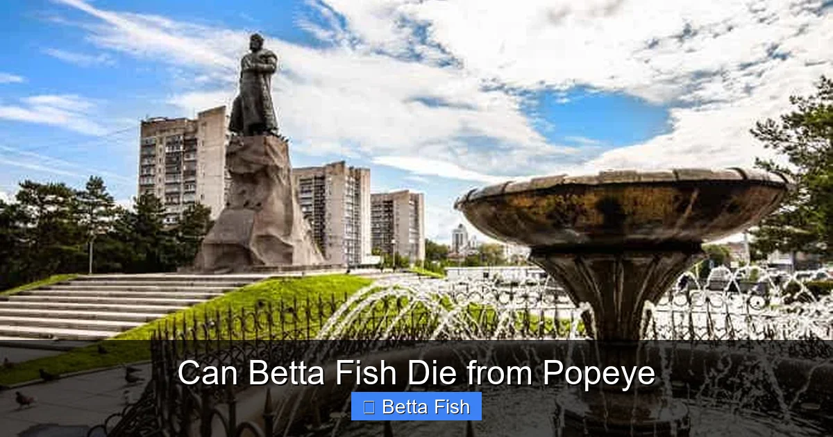 Can Betta Fish Die from Popeye