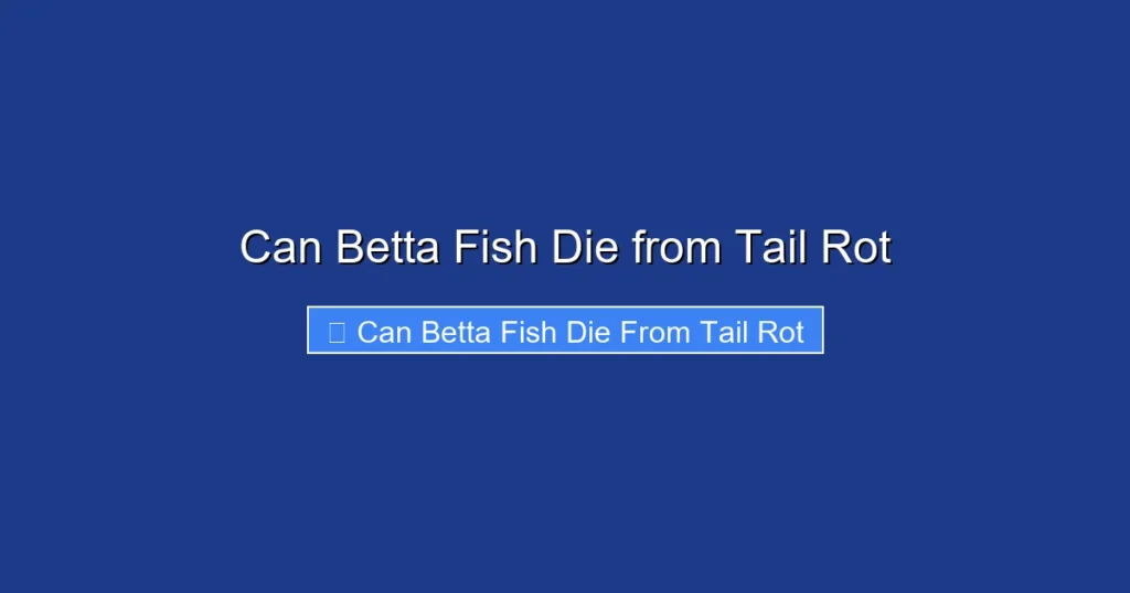 Can Betta Fish Die from Tail Rot