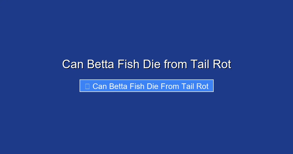 Can Betta Fish Die from Tail Rot