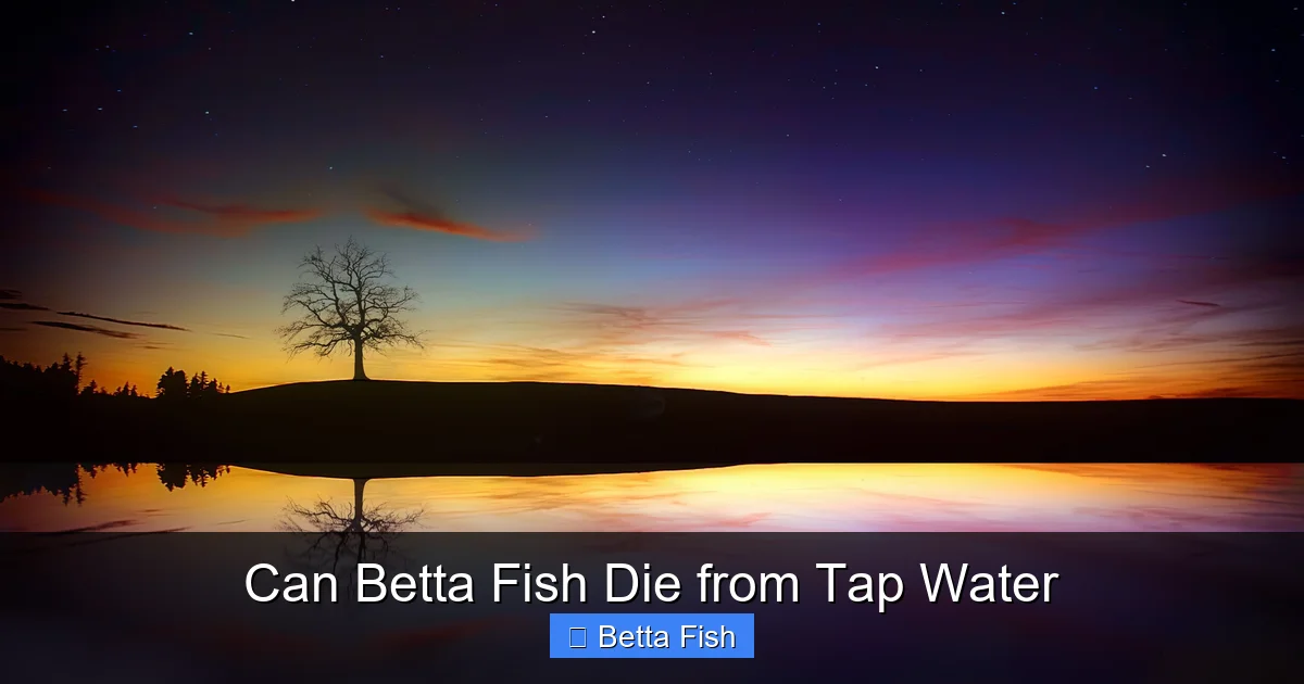 Can Betta Fish Die from Tap Water