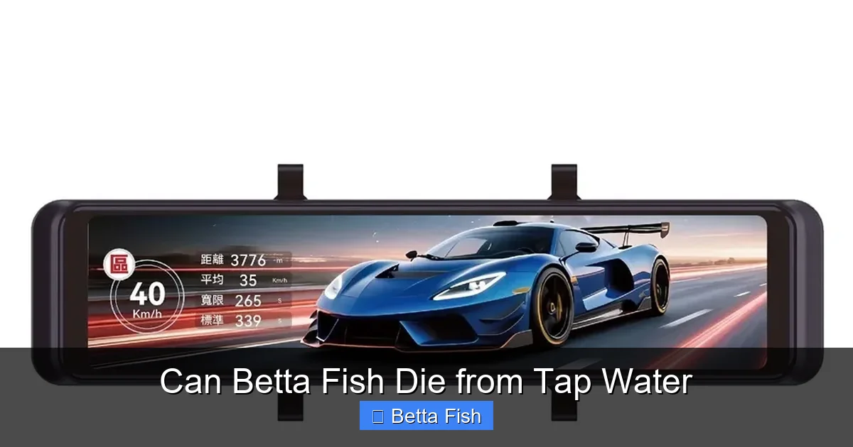 Can Betta Fish Die from Tap Water