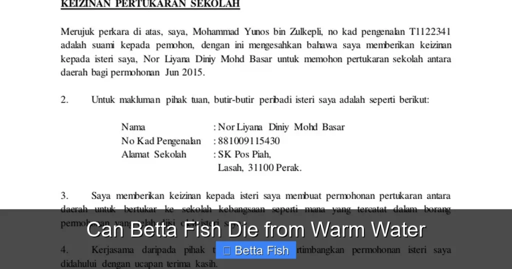 Can Betta Fish Die from Warm Water