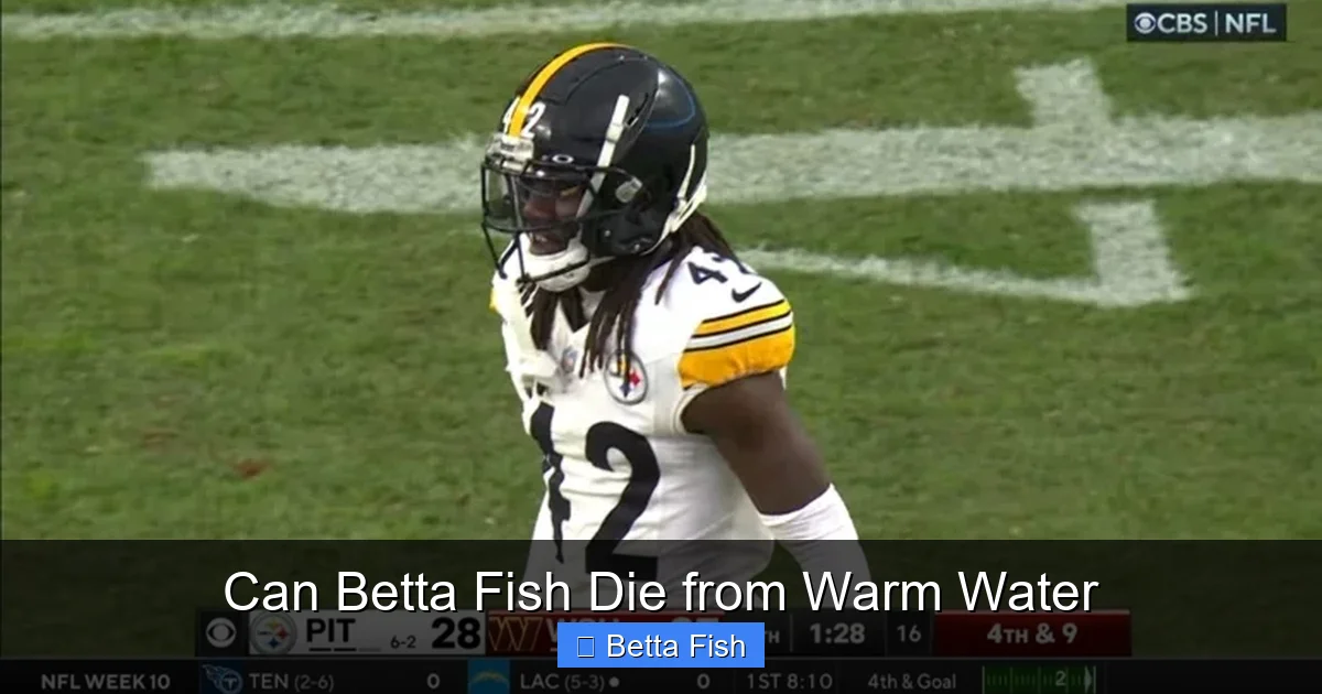 Can Betta Fish Die from Warm Water