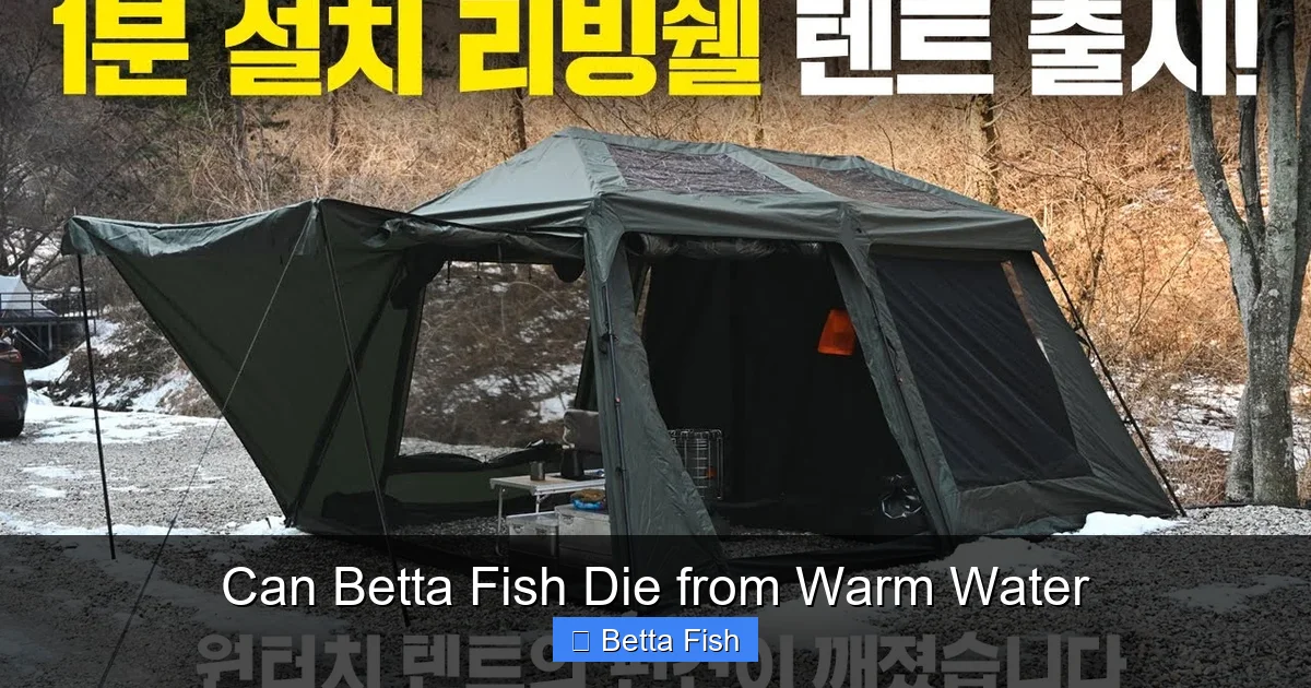 Can Betta Fish Die from Warm Water