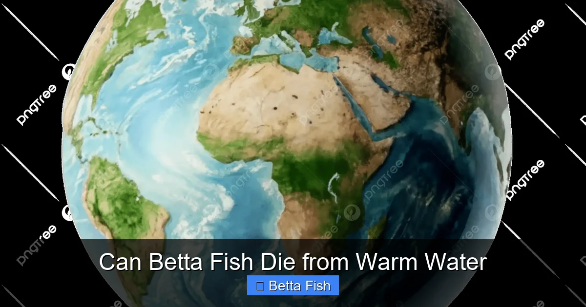 Can Betta Fish Die from Warm Water