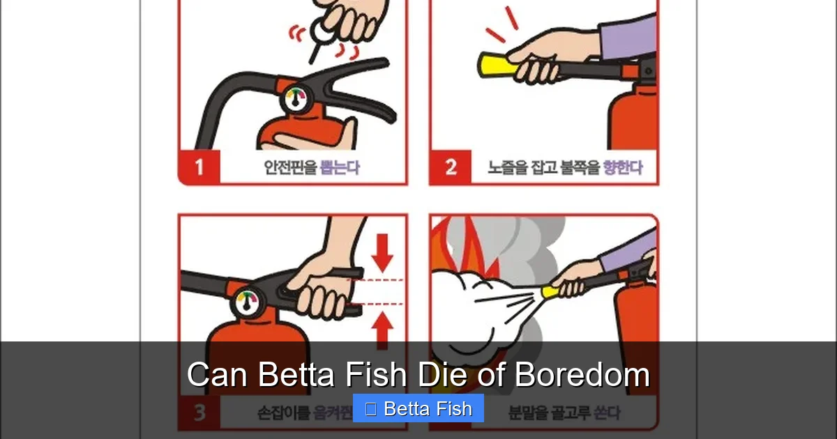 Can Betta Fish Die of Boredom