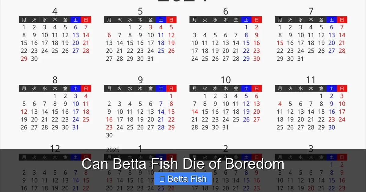 Can Betta Fish Die of Boredom