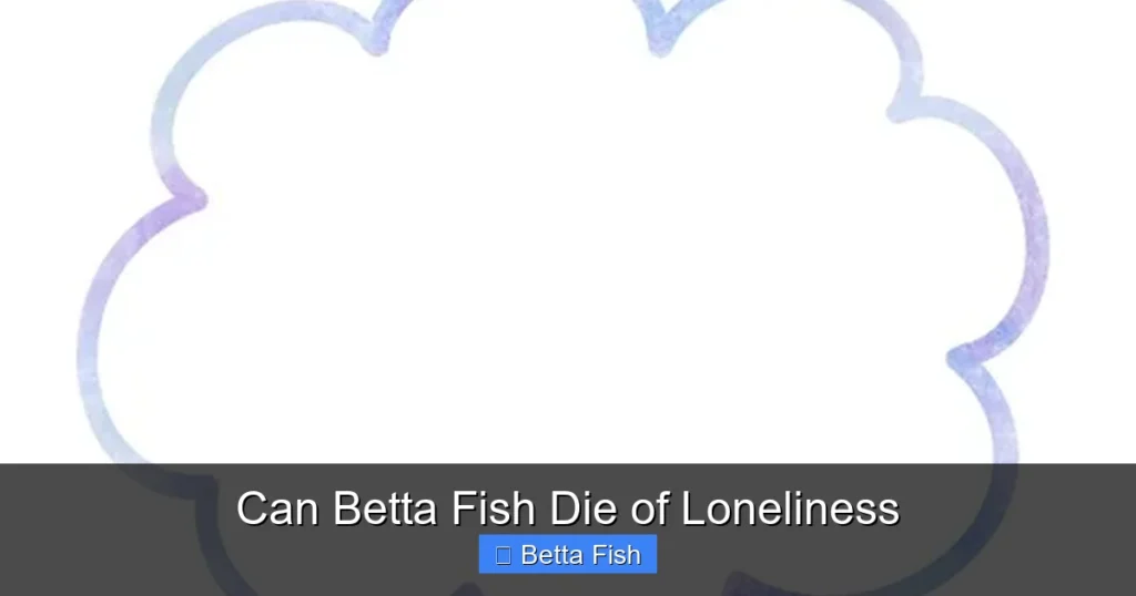 Can Betta Fish Die of Loneliness