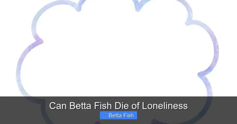 Can Betta Fish Die of Loneliness