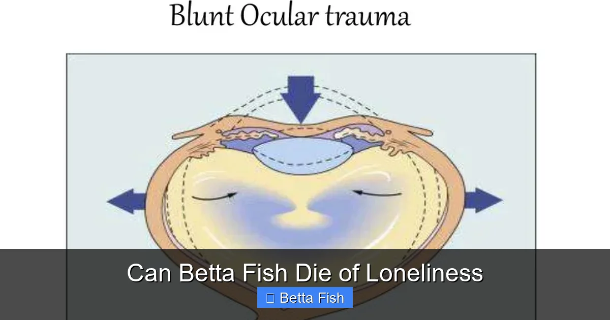 Can Betta Fish Die of Loneliness